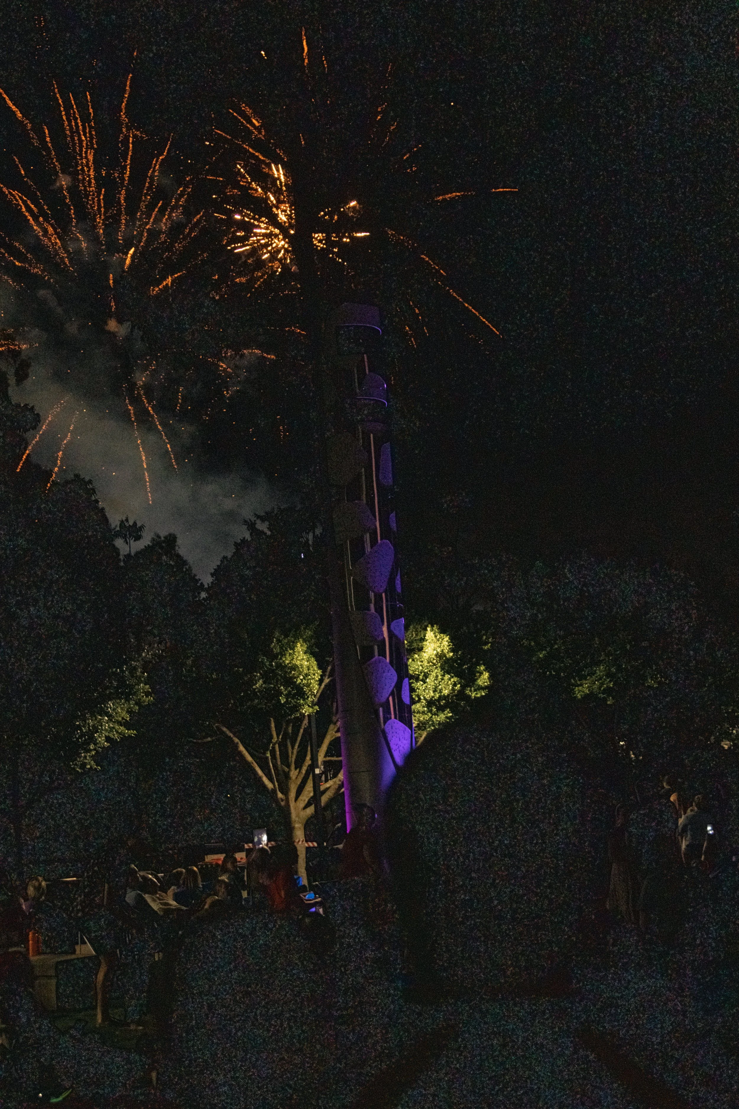 IMG_2620 Re-Sized.jpg