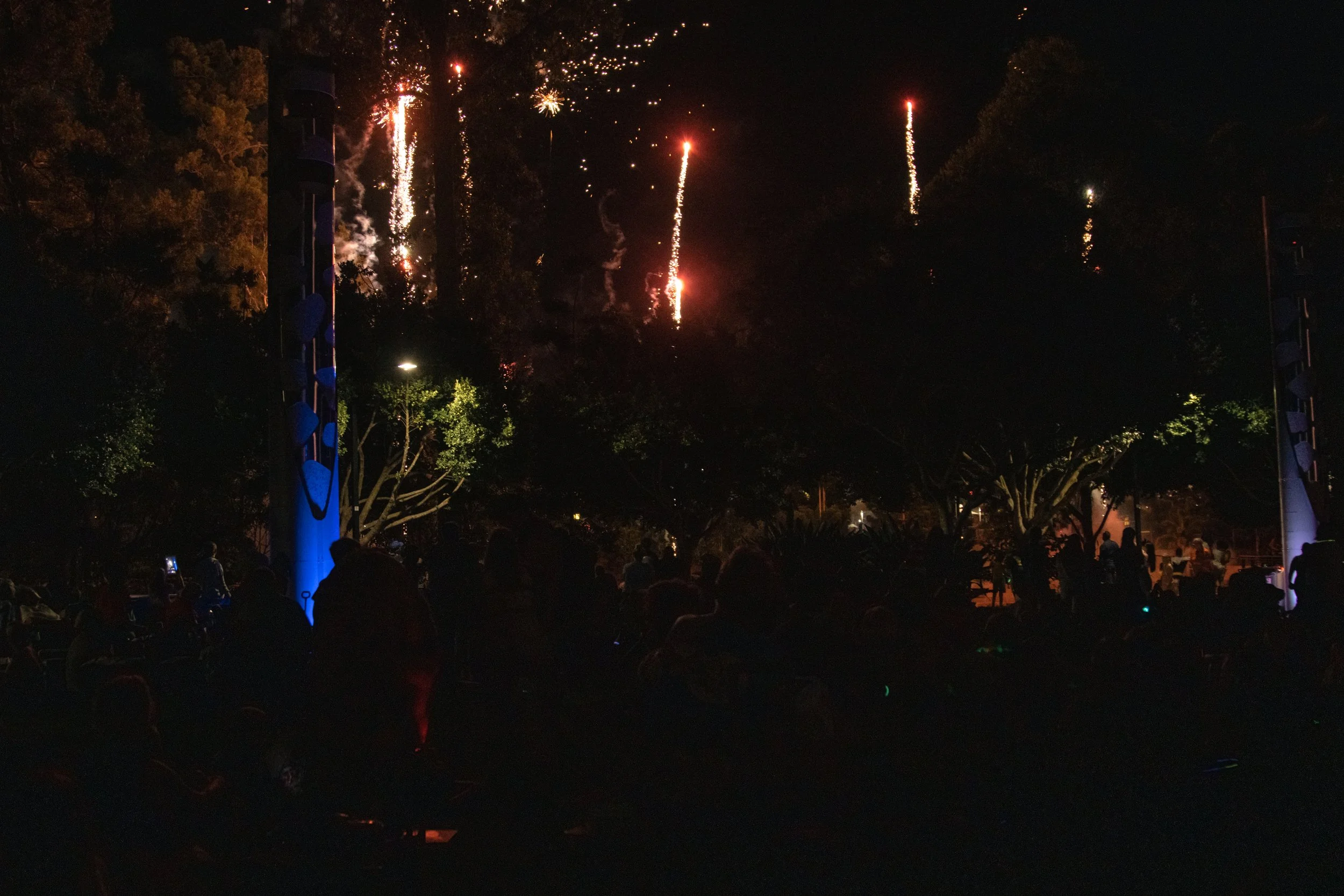 IMG_2631 Re-Sized.jpg