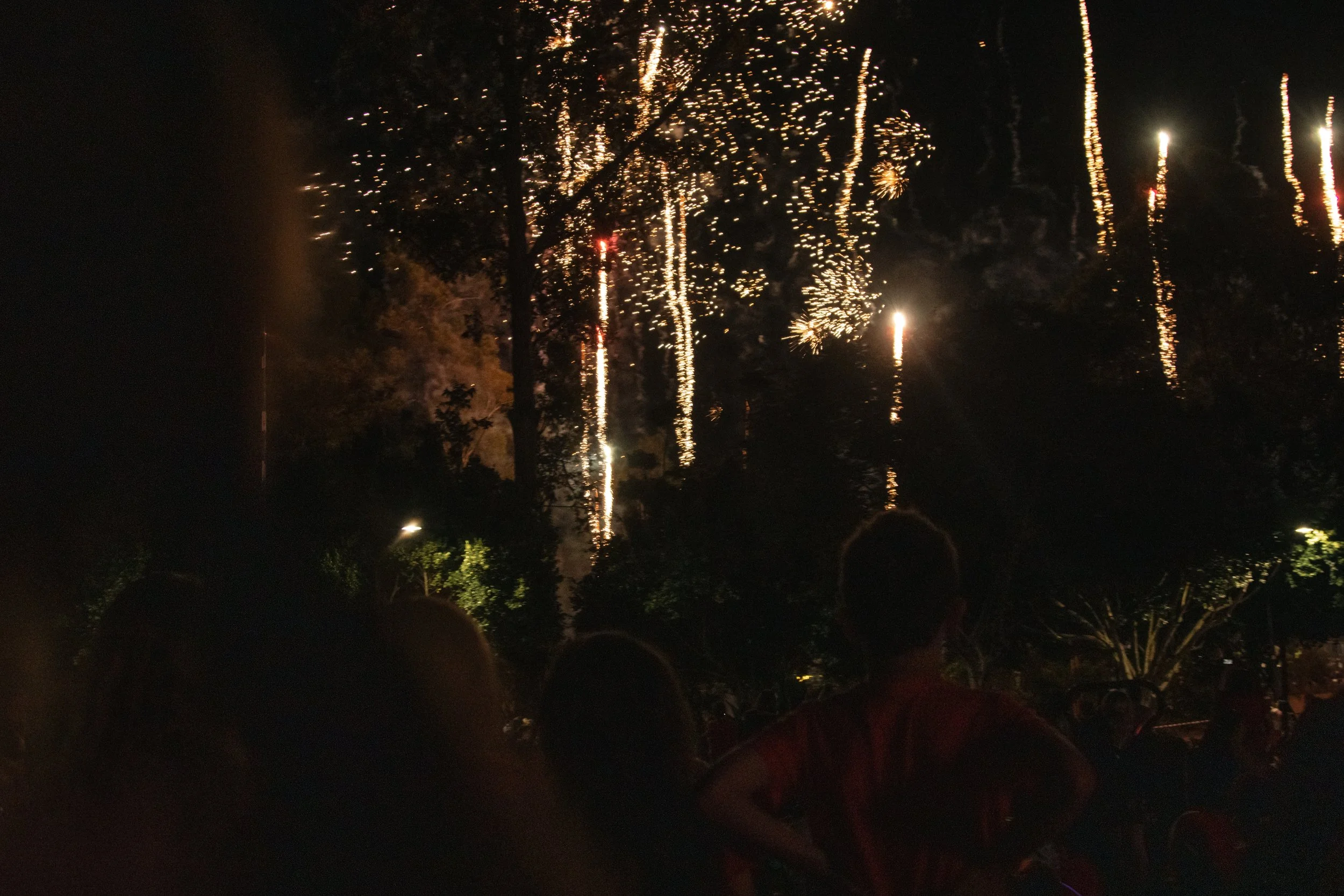 IMG_2635 Re-sized.jpg