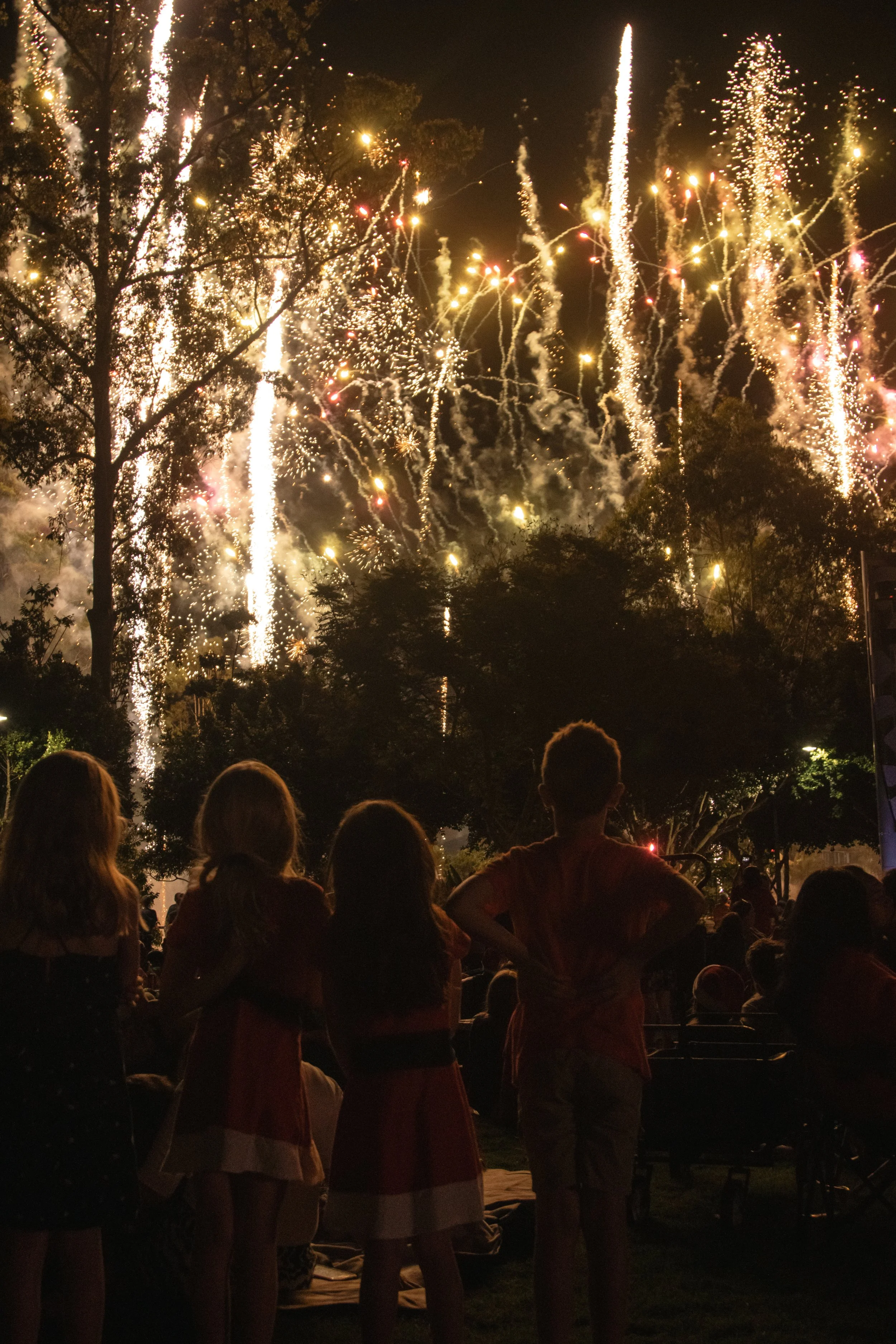 IMG_2637 Re-sized.jpg