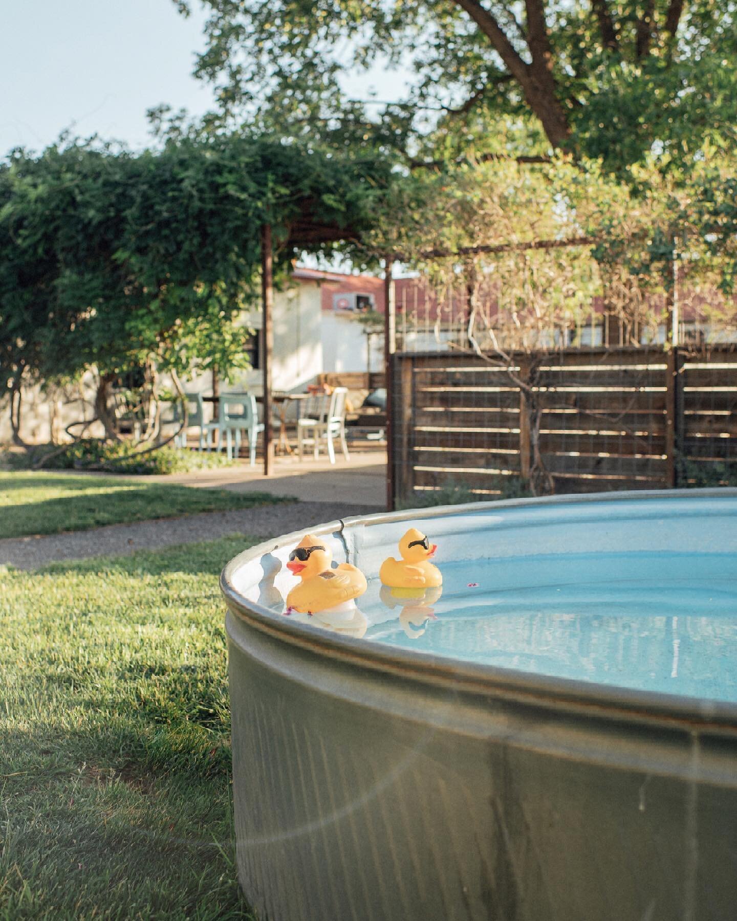 Hope your long weekend is full of chill vibes, time by the water and some good company. This rubber duck is me. ☀️