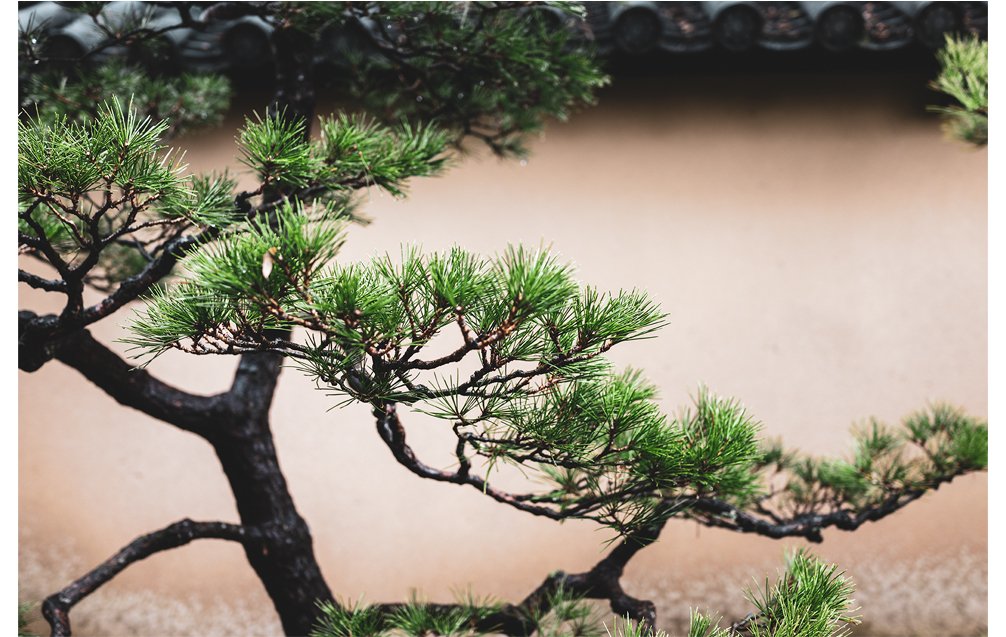 ©MarieTakahashi_Travel 1.jpg