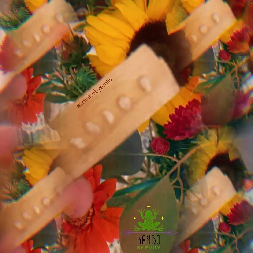 With just weeks away from the winter solstice, this is a beneficial time of year to 𝘴𝘭𝘰𝘸 down, go inward, rest and reflect on what lies ahead. ⁣
⁣
Working with Kamb&ocirc; during this time of year is beneficial because it allows us to ground back