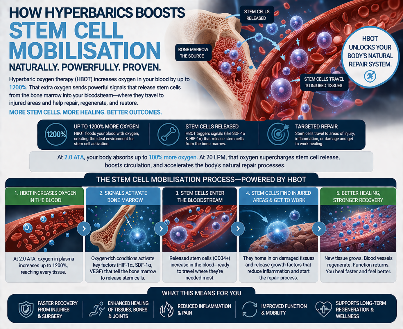 HBOT Stem Cell Mobilisation