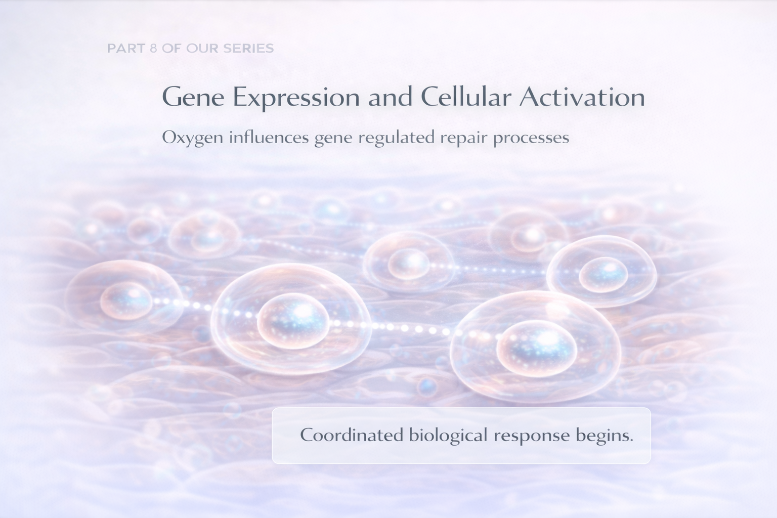 Gene Expression and Cellular Activation