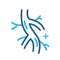 Medical illustration of a human heart showing coronary arteries.