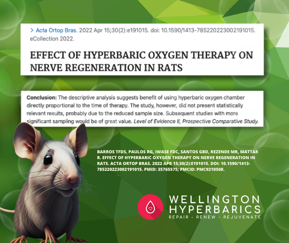 Nerve Regeneration.png