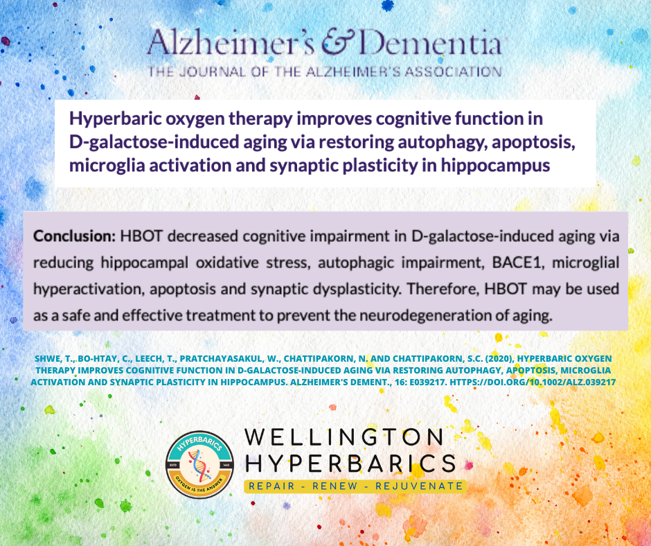 Cognitive Function.png