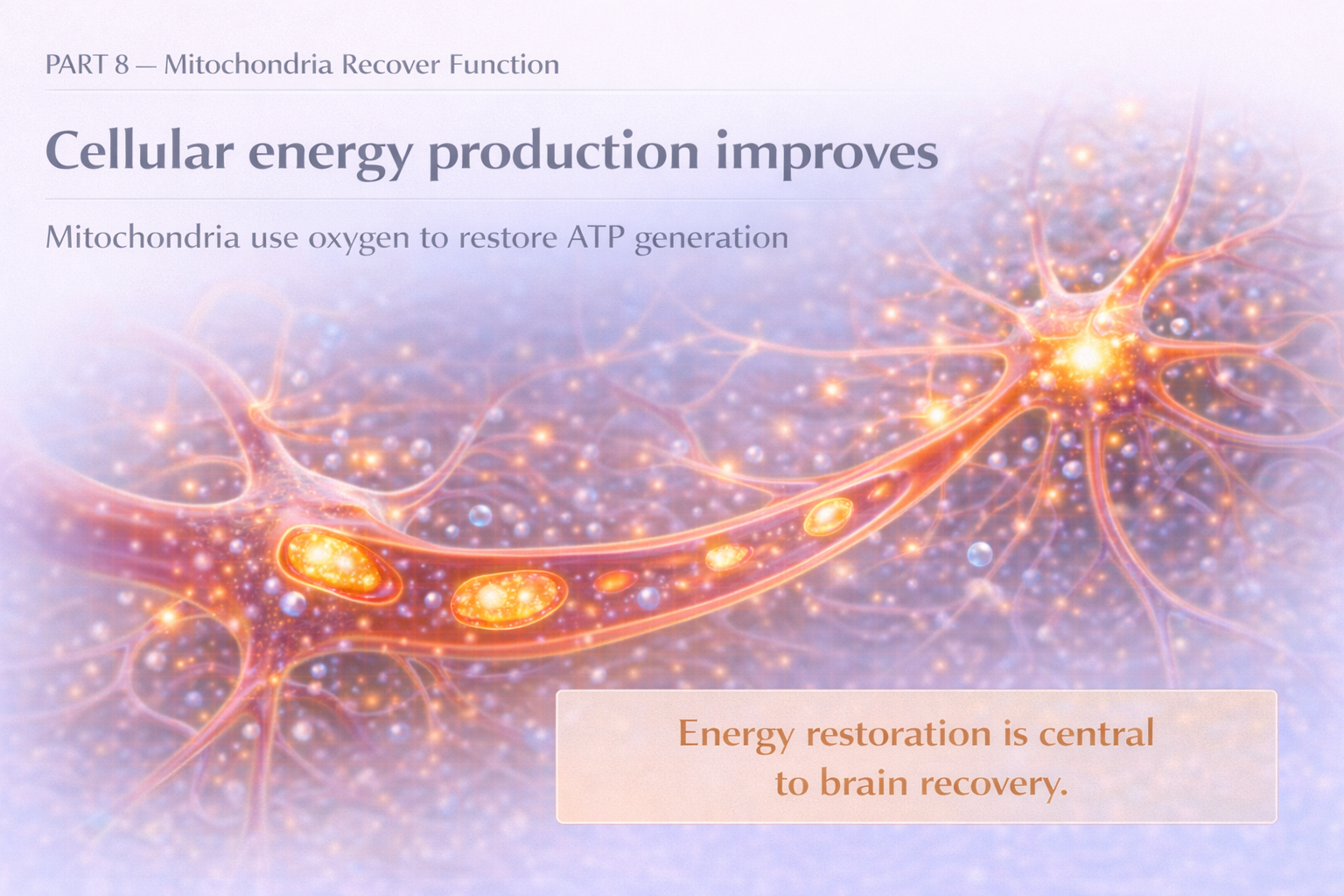 Cellular energy production improves