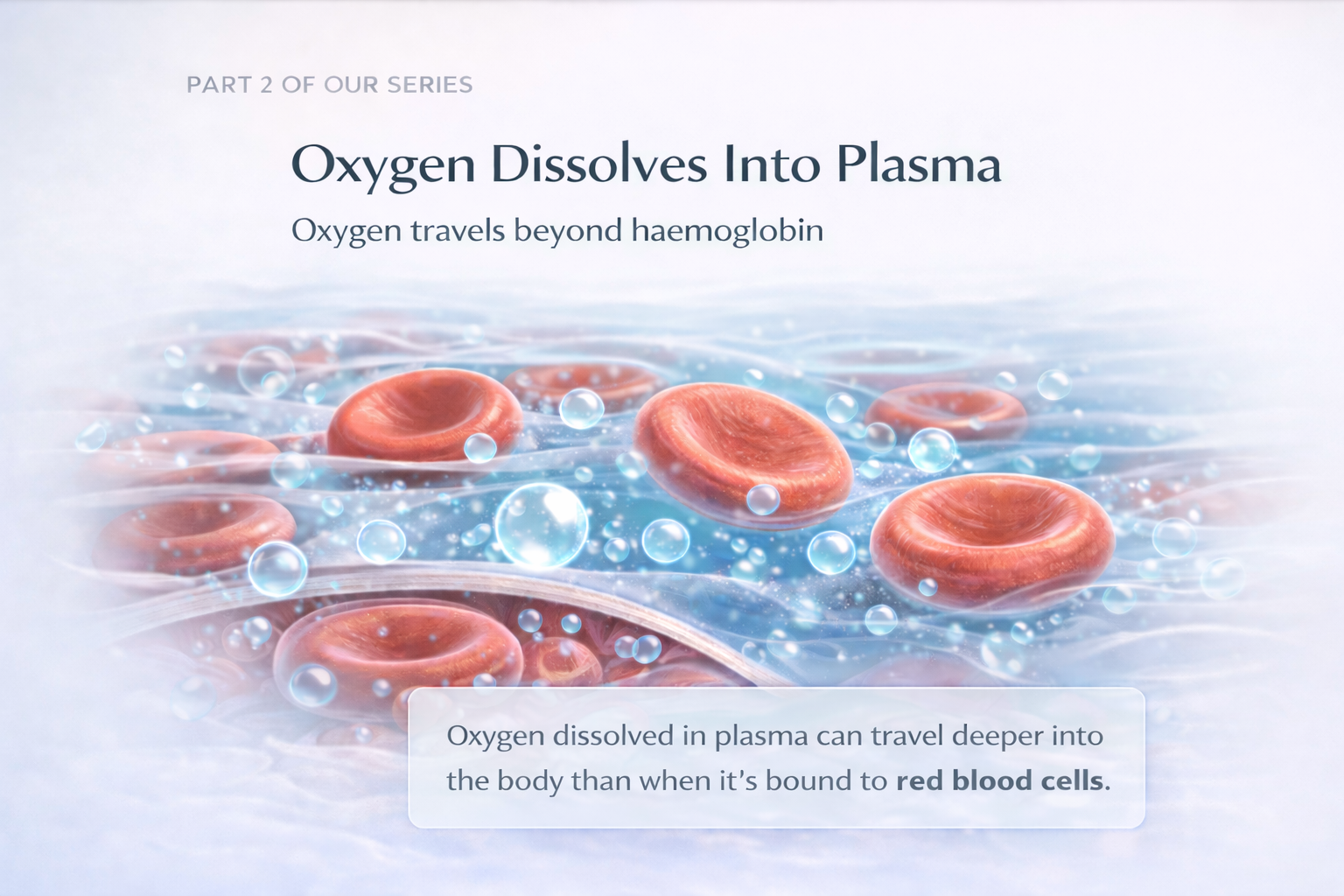 Oxygen dissolves into plasma
