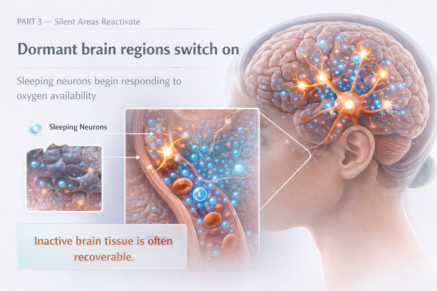 dormant regions switch on