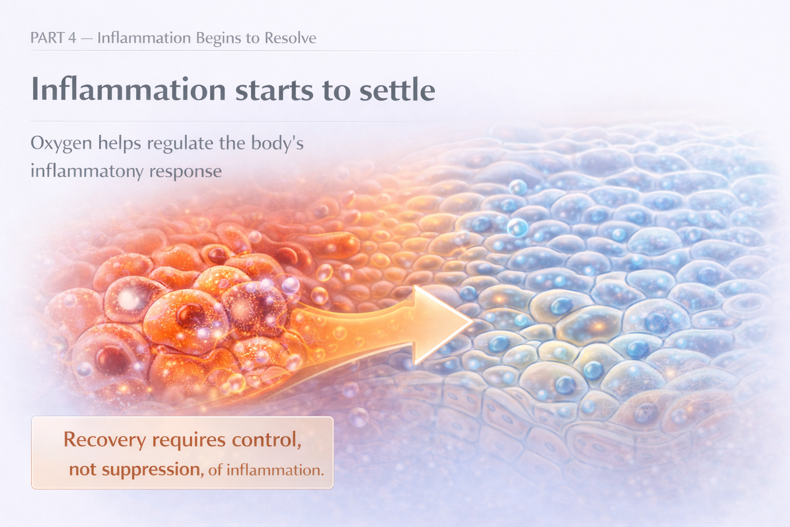 Inflammation starts to settle