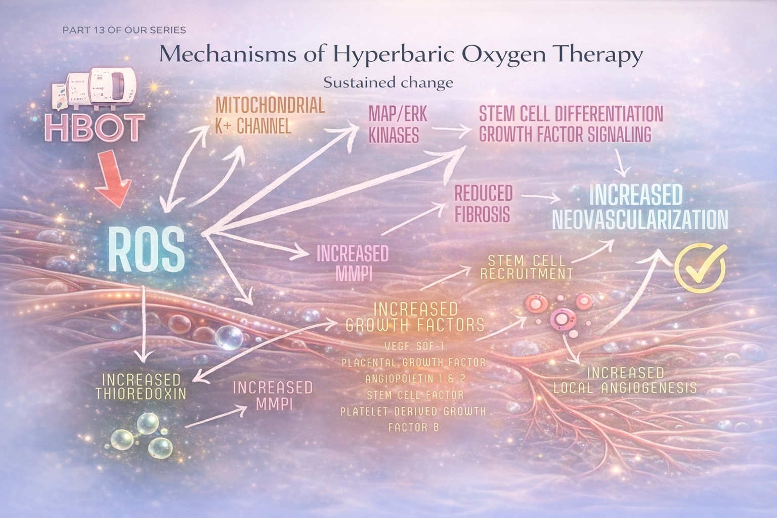 Mechanisms of HBOT