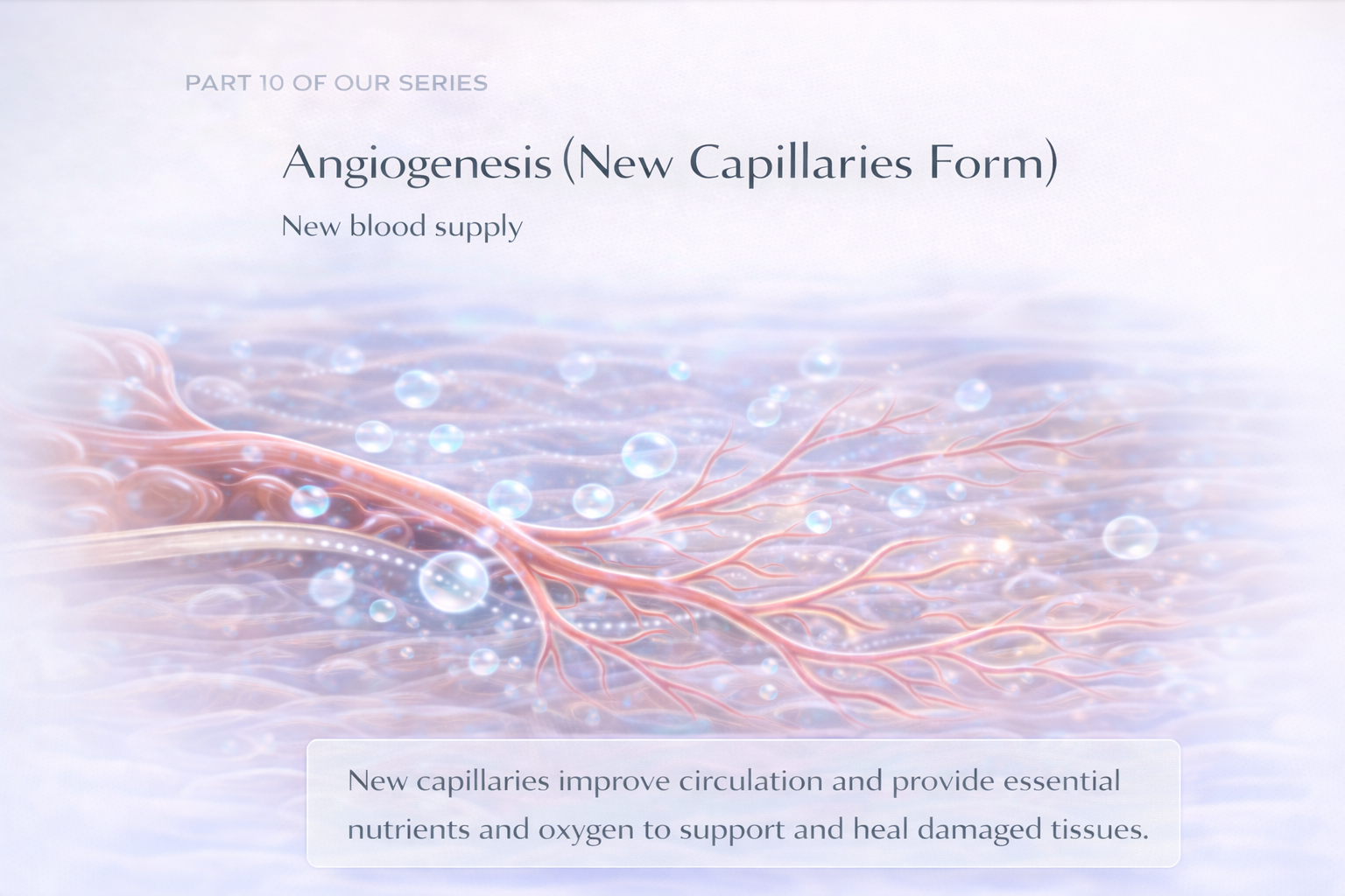 Angiogenesis
