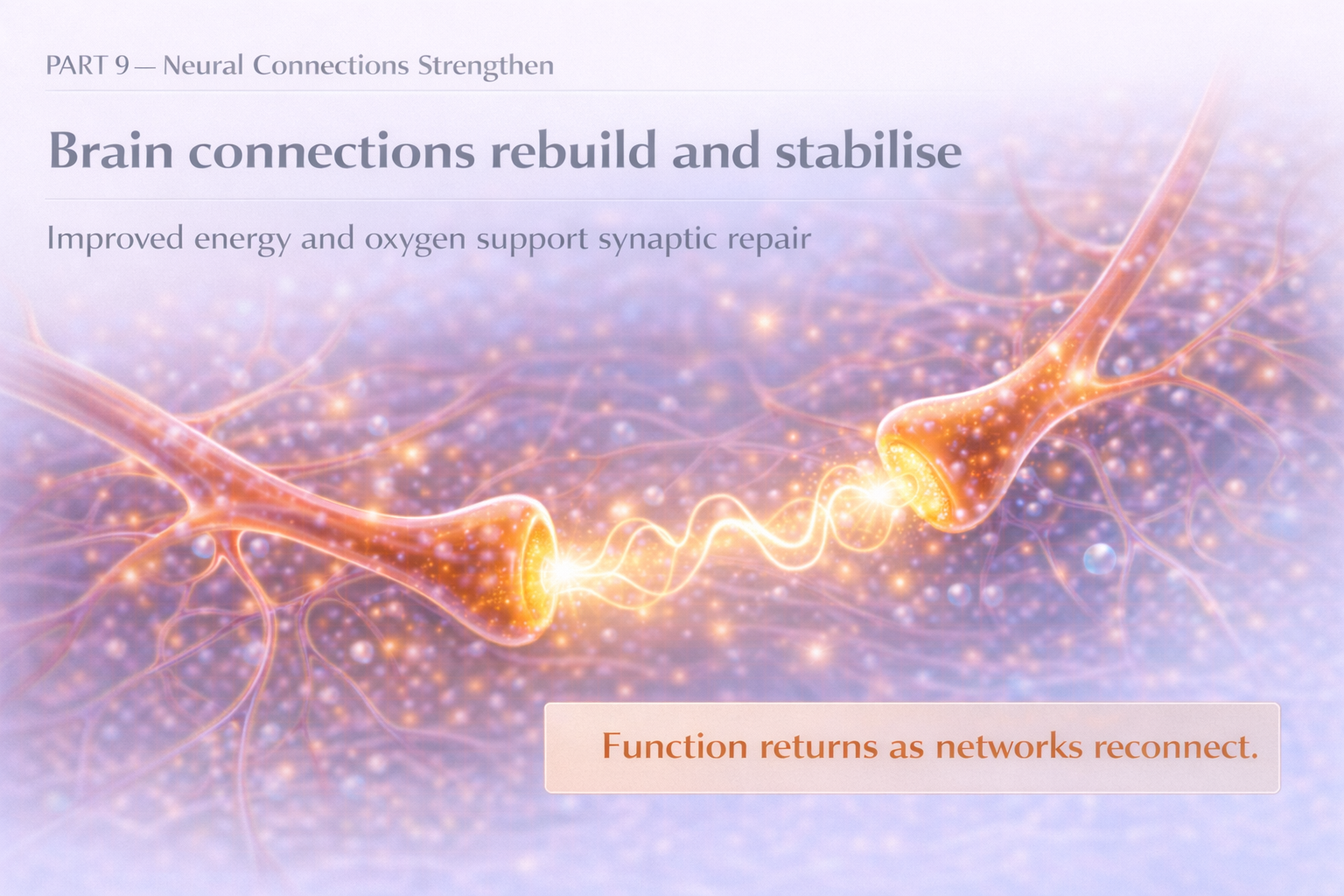 Brain Connections Rebuild