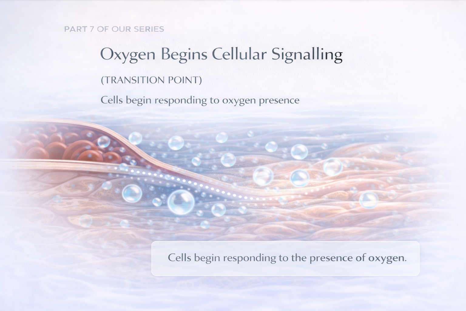 Oxygen Begins Cellular Signalling