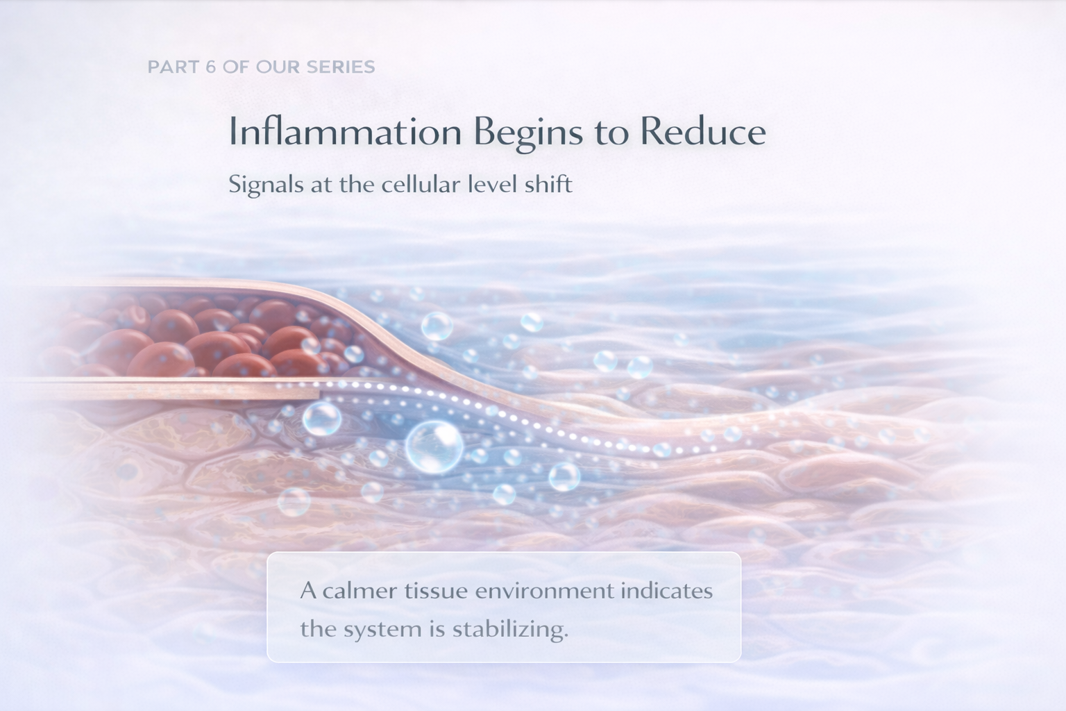 Inflammation Begins to reduce