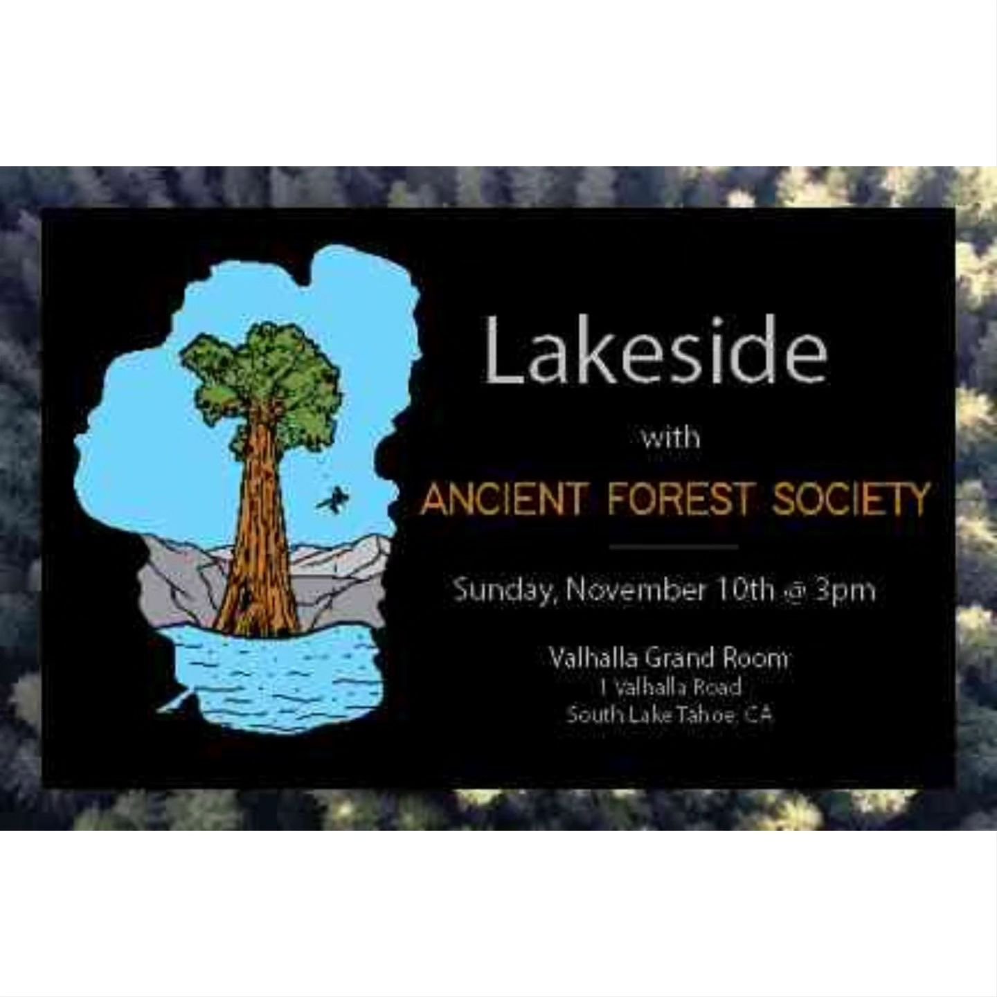 Awesome gig alert! Nov 10 at the Valhalla Boathouse. 

Join members of Mescalito and Lindsay Cheek for a rocking set of music that supports a really cool local nonprofit, the Ancient Forest Society. They are raising money to continue their amazing ef