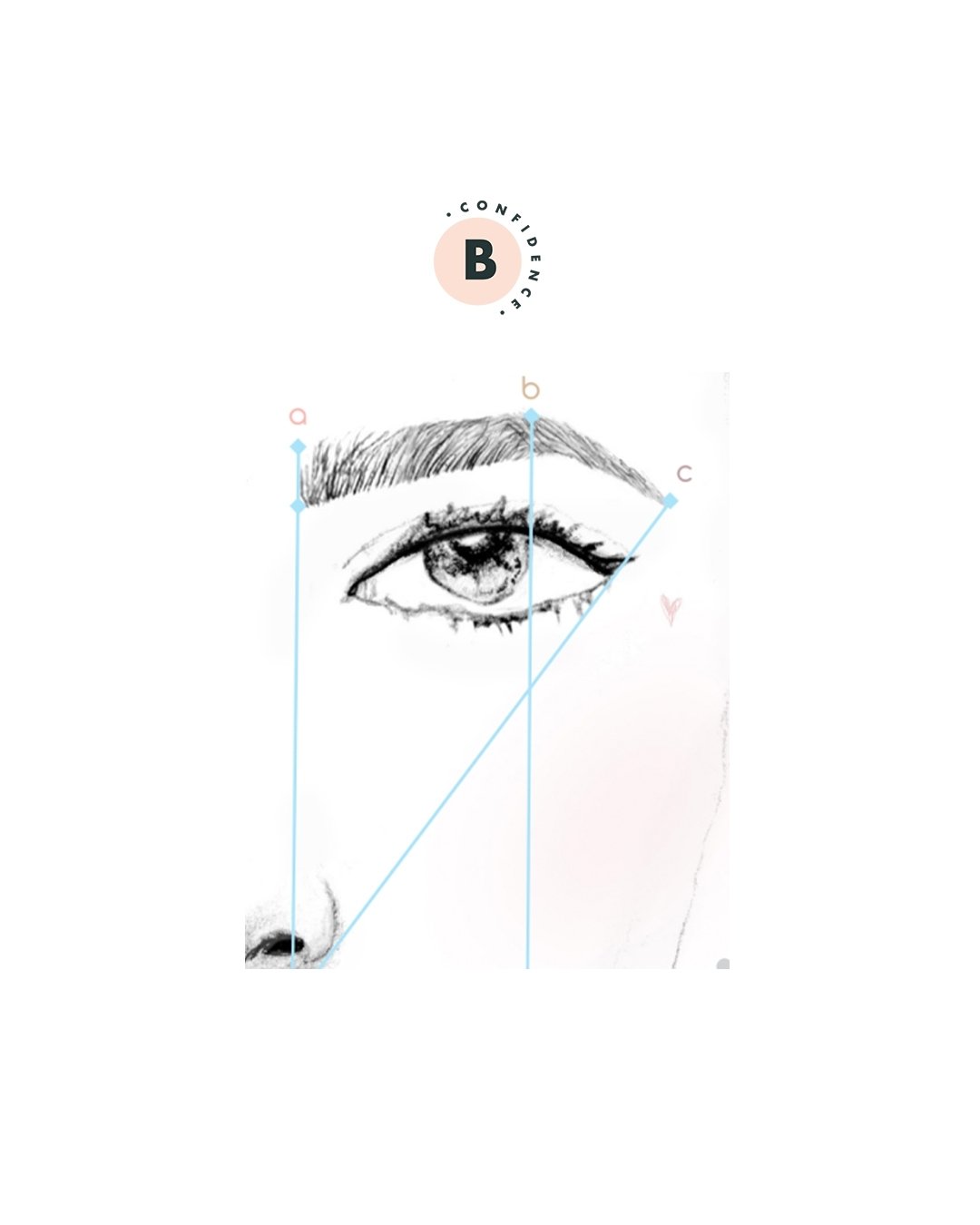 My Ultimate Brow Shape measuring system is based on my Brow Quad Ratio. This meticulous approach ensures consistent results every time.

But first, on your &lsquo;better&rsquo; brow, you need to identify where your brow should start, arch and end.

F