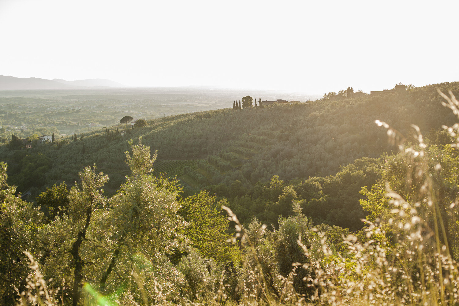 Tuscany_Trail_-0609sml.jpg