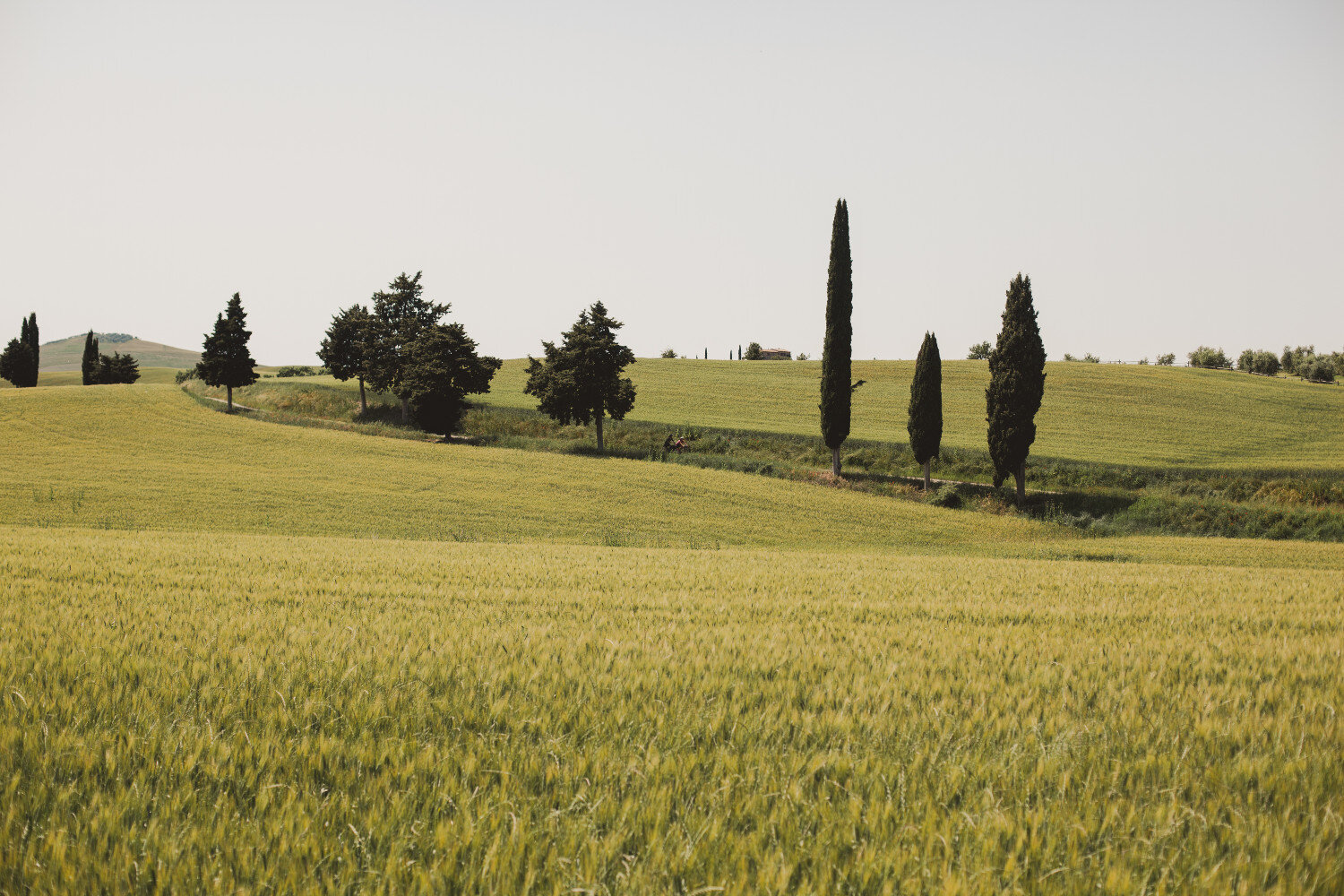 Tuscany_Trail_-1033sml.jpg