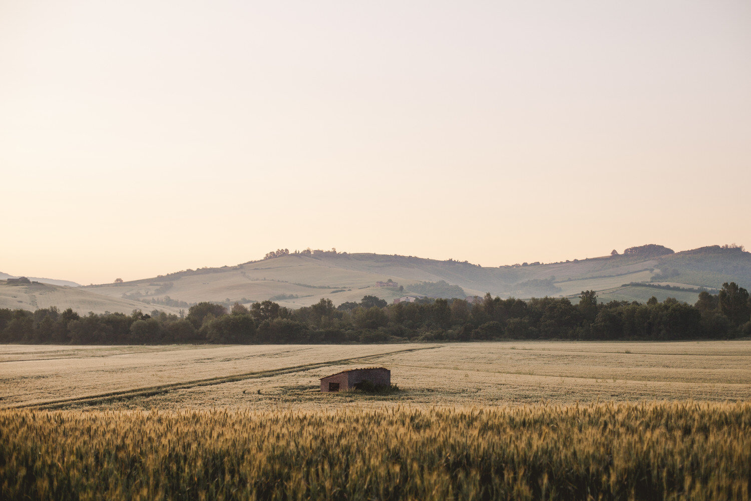 Tuscany_Trail_-1180-2sml.jpg