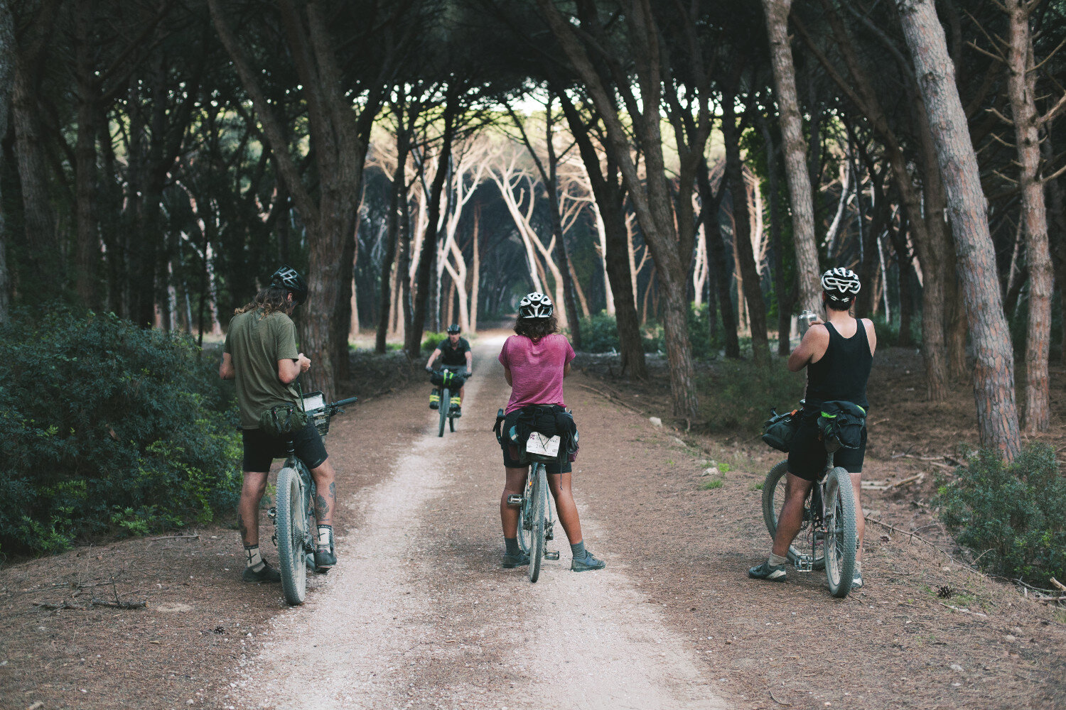 Tuscany_Trail_-1310sml.jpg