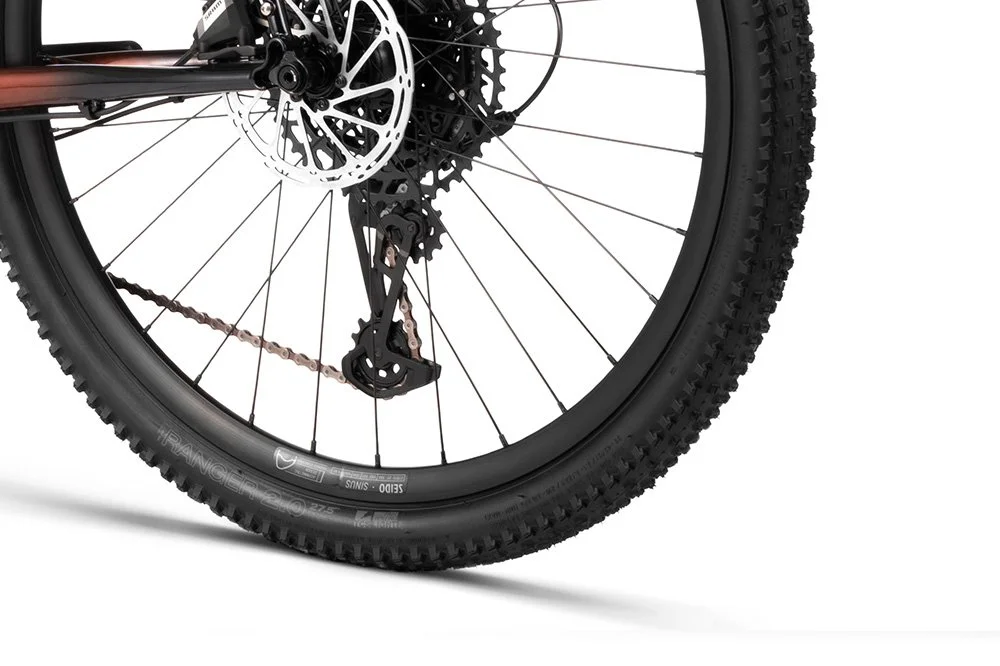 Rim_Hook EXT Apex Eagle metallic sunglow fade.jpg