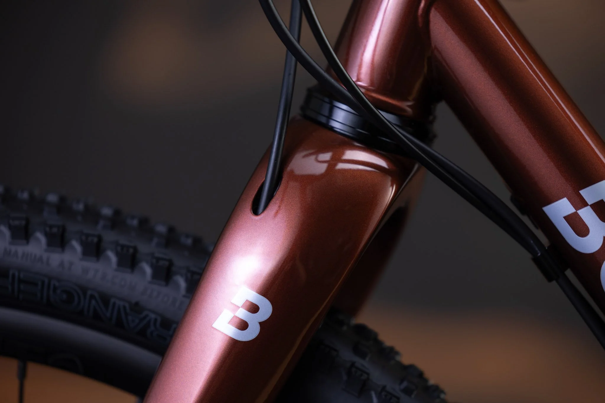 Unbenannter Katalog4082.jpg