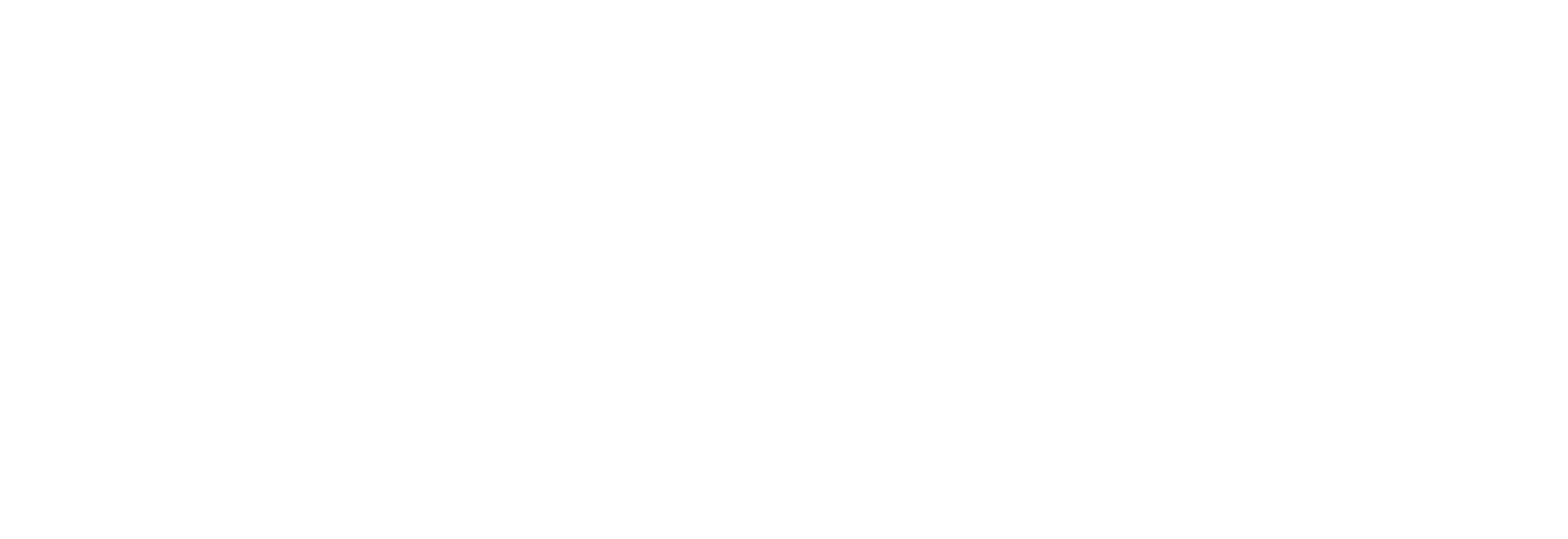 WHITE OUTLINE.png