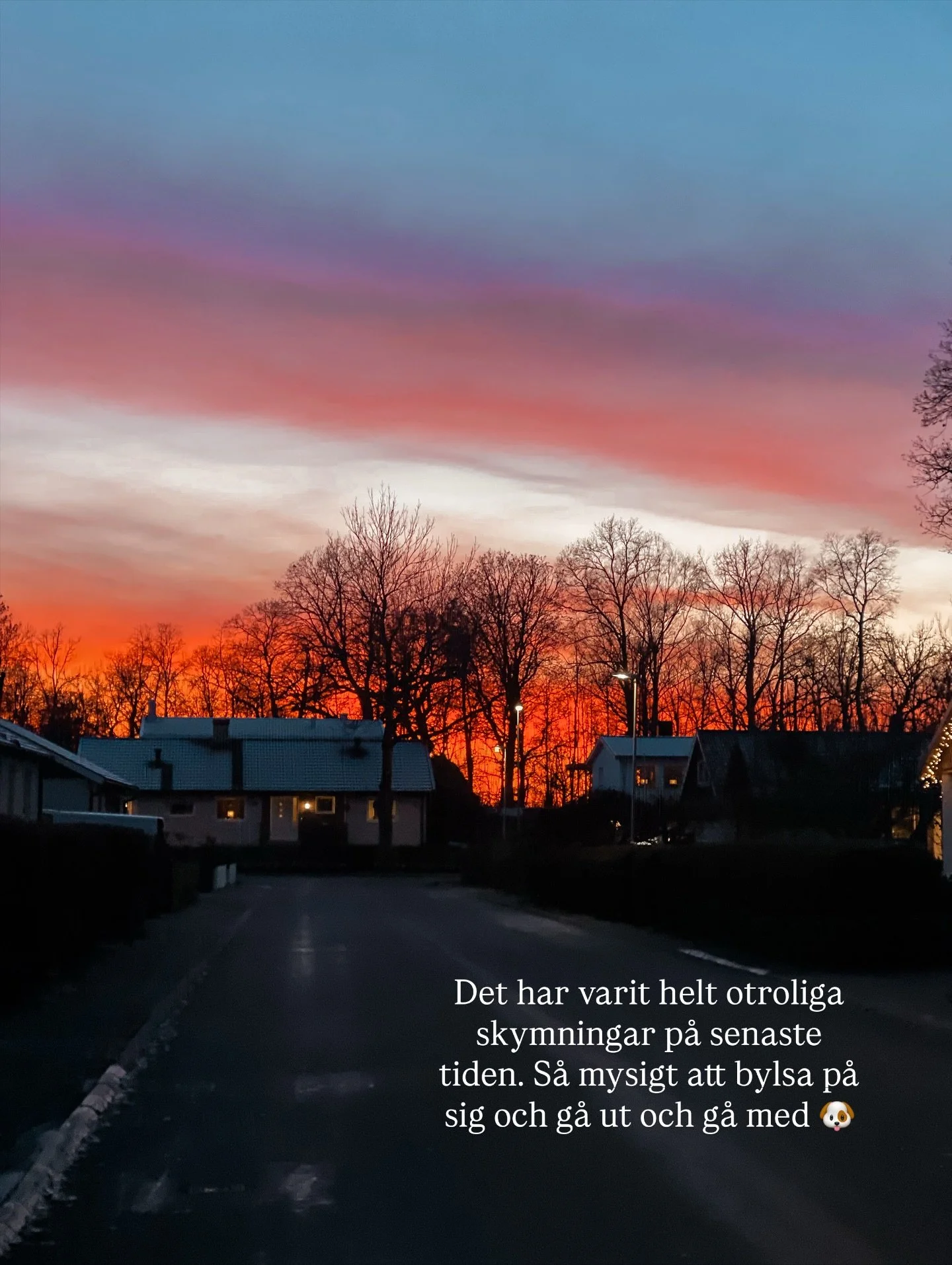 Veckorna g&aring;r ihop f&ouml;r mig just nu. S&aring; det f&aring;r bli en recap fr&aring;n  senaste tiden 🤎. Jag har suttit klistrad vid min dator m&aring;nga n&auml;tter sista veckorna (vilket inte syns h&auml;r). &Auml;r i ett flow vad g&auml;ll