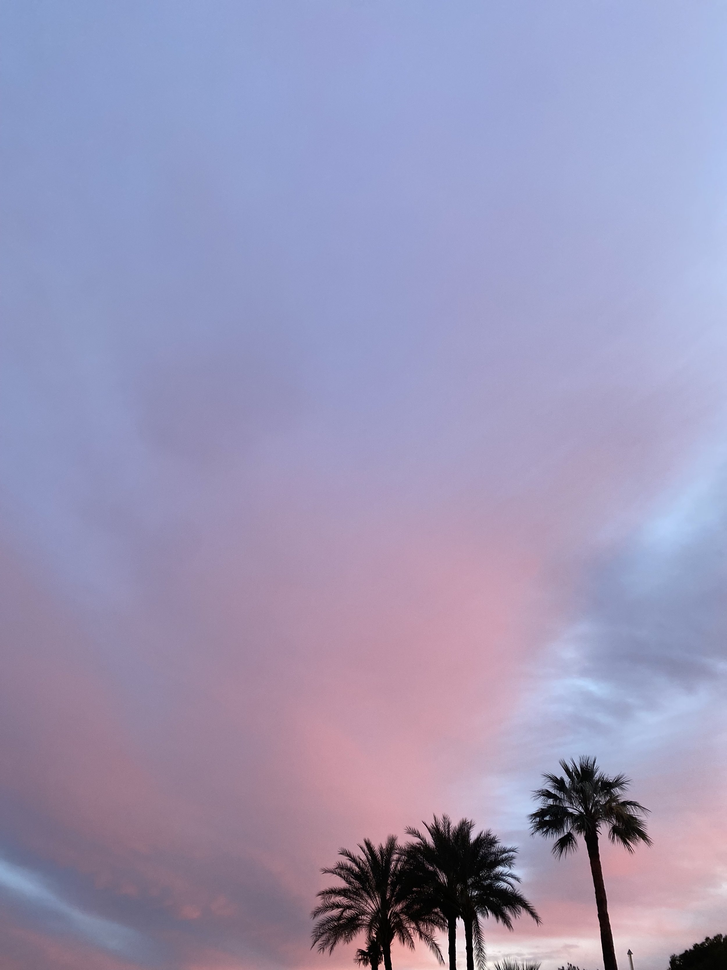 IMG_4628.jpeg