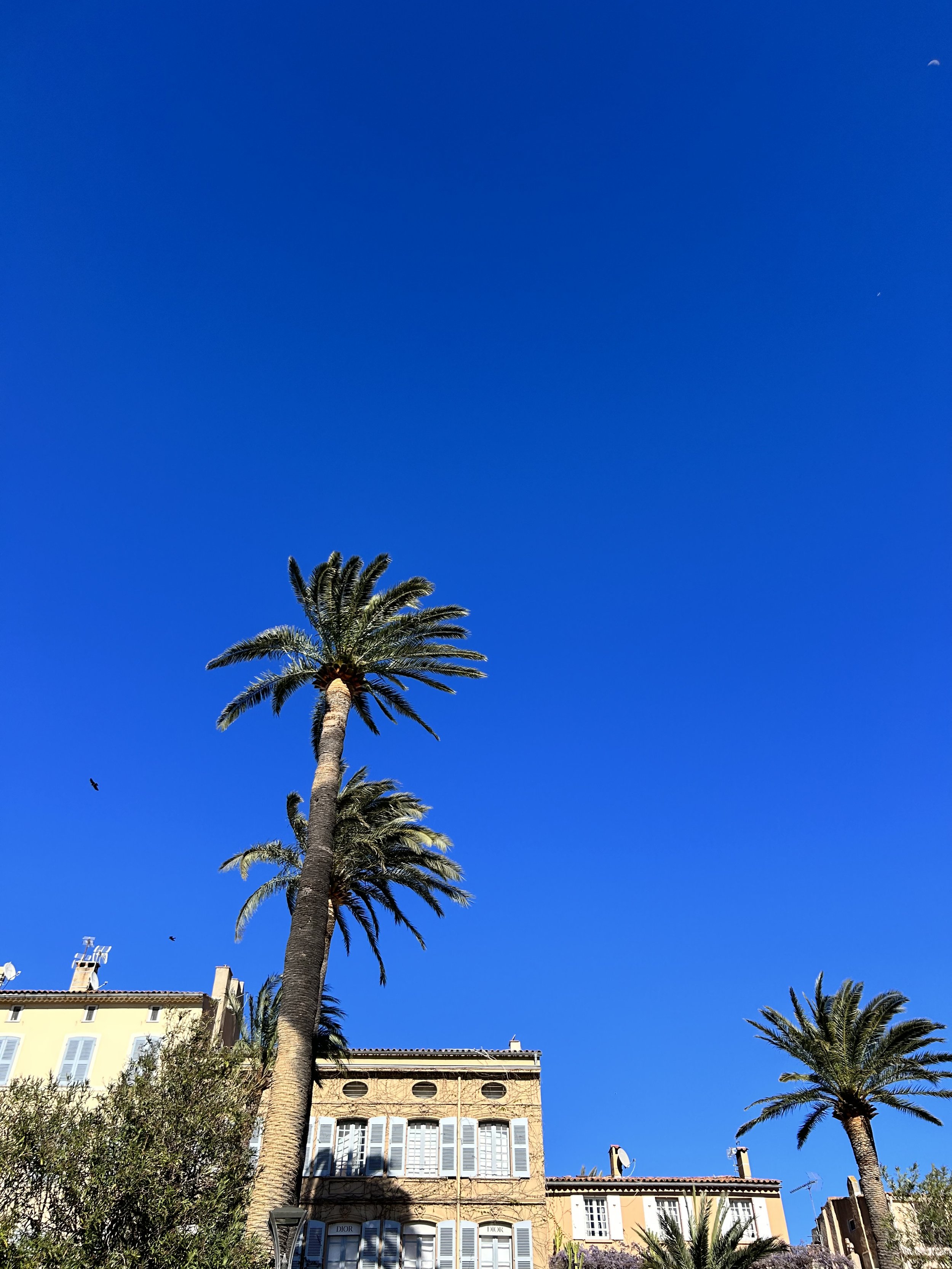 IMG_2064.jpeg