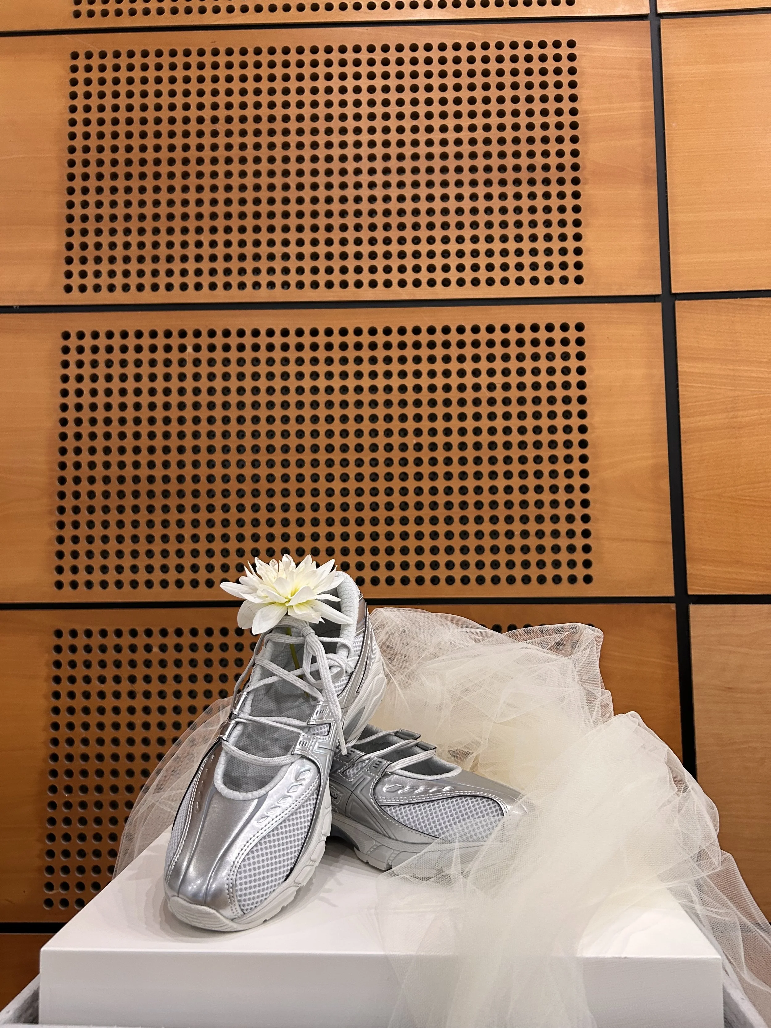 IMG_2952.jpeg