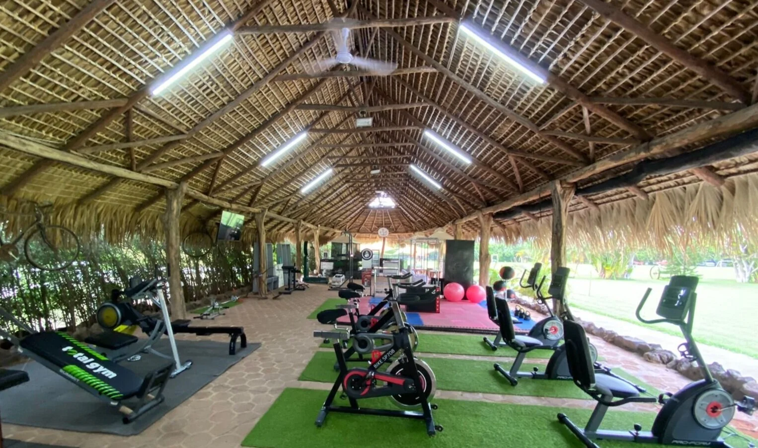 6F66903A-8B18-4024-BA11-D211D38DF7CC