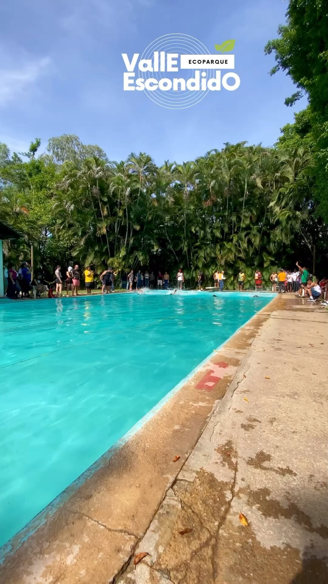 *Revive los mejores momentos de la competencia de natación de los juegos magisteriales en Valle Escondido! 🏊‍♂️🏅*