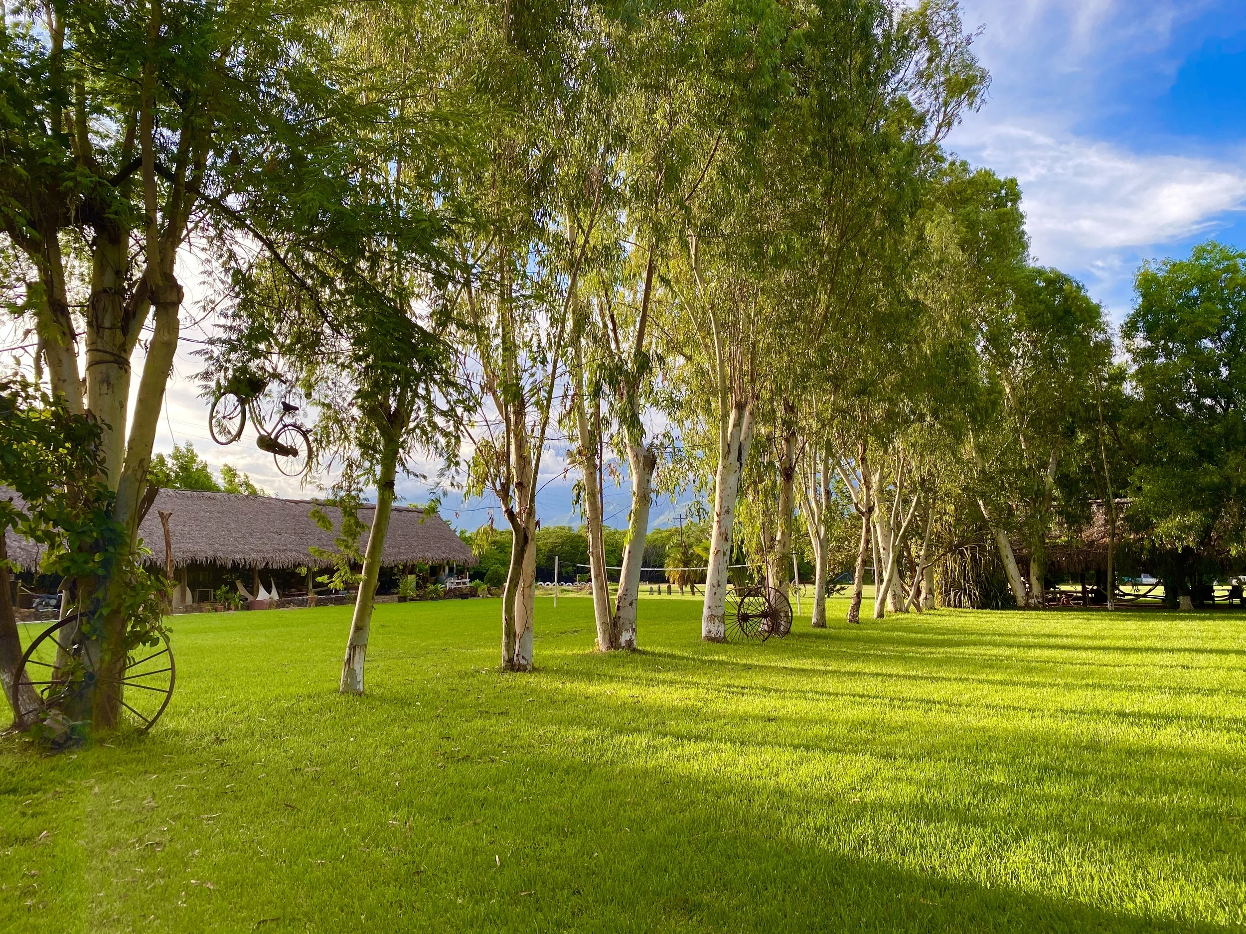 2020-09-11 17.08.07.jpeg