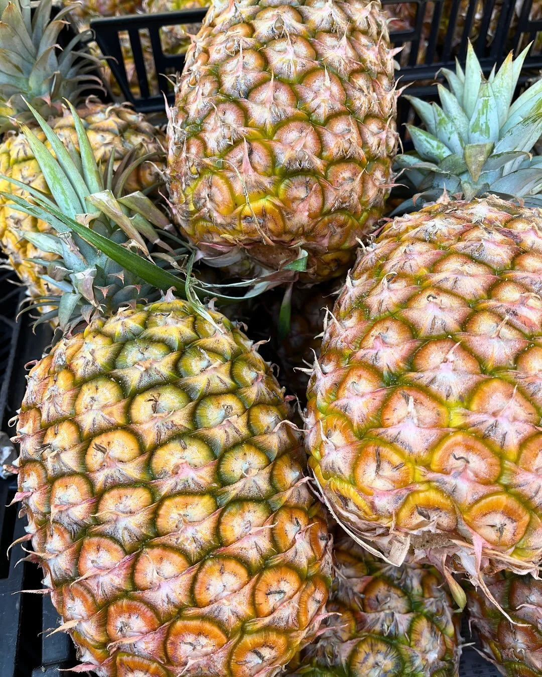 We have a beautiful day in store this Saturday at the Powerhouse Farmers Markets. We welcome the wonderful @her.wardrobemarkets pop-up vintage fashion market, with live music by the stunning @haileycalvert 

Here for the freshest and best produce in 