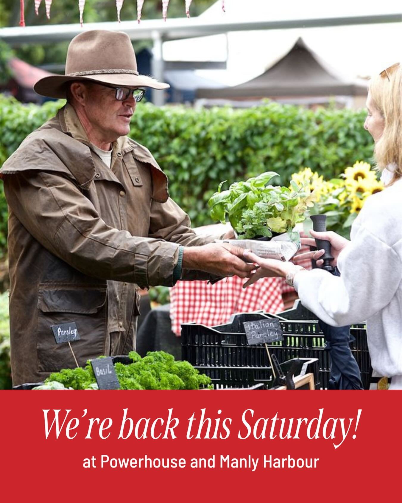 Happy new year! We can&rsquo;t wait to see you on Saturday. We&rsquo;ll be back at both Powerhouse and Manly Markets from 6am - 12noon as per usual. 

We wish you all a peaceful and happy 2026 🐓
