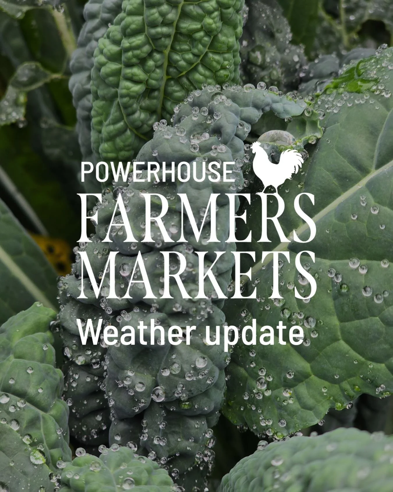 The Powerhouse Farmers Markets will be going ahead as usual tomorrow morning. Don those wellies and your raincoat and we&rsquo;ll see you there! 🐓☂️