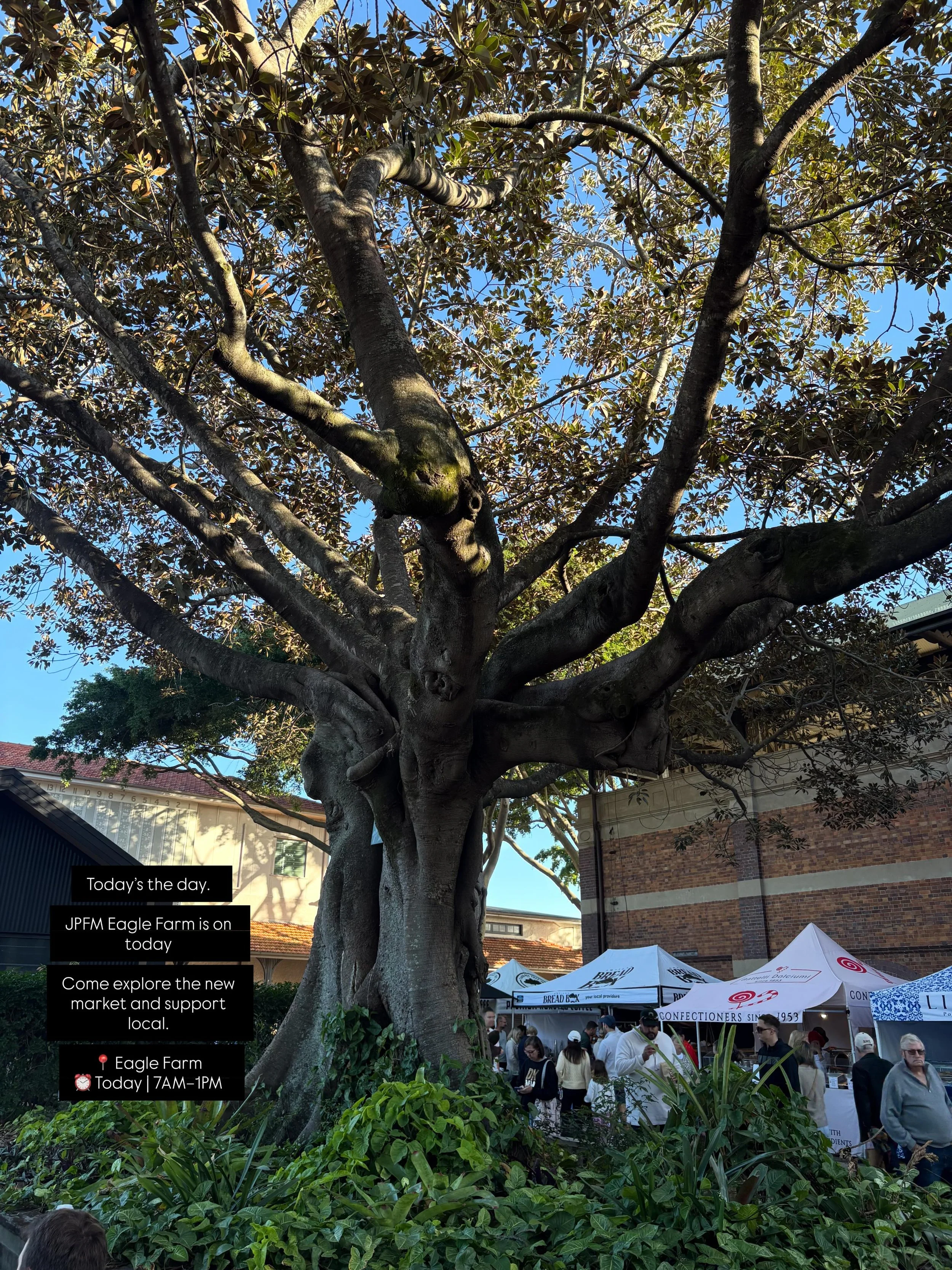 JPFM Eagle Farm is on today &mdash; bringing together farmers, growers, bakers, makers, coffee, fresh produce, breakfast, live music and community in a beautiful new setting.

Come explore the new market and support local.

📍 Eagle Farm Racecourse
⏰
