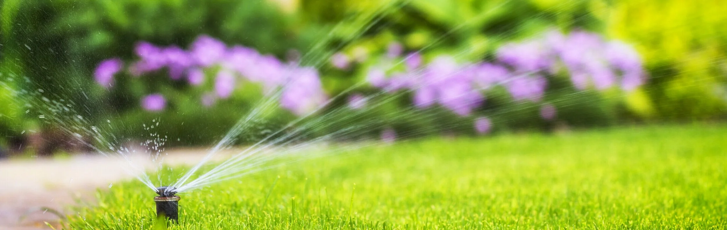 Turf & Irrigation Canberra — InDepth Landscape Construction Canberra