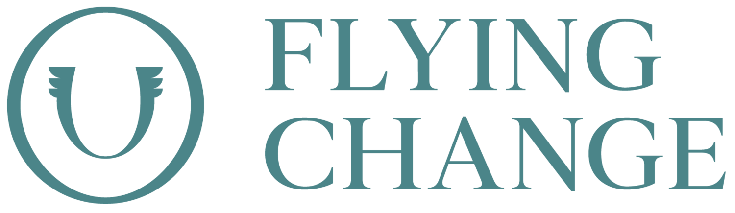 Flying Change | Divorce Advice, Mediation &amp; Business Advice