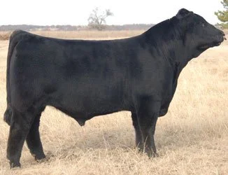 BK UNLIMITED POWER 472