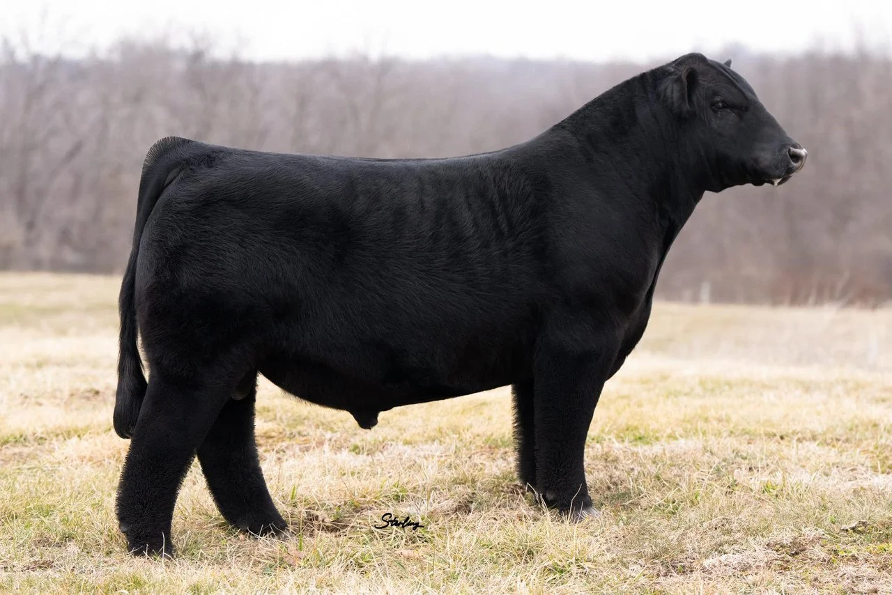 CFCC HIGH ROAD 507N ET