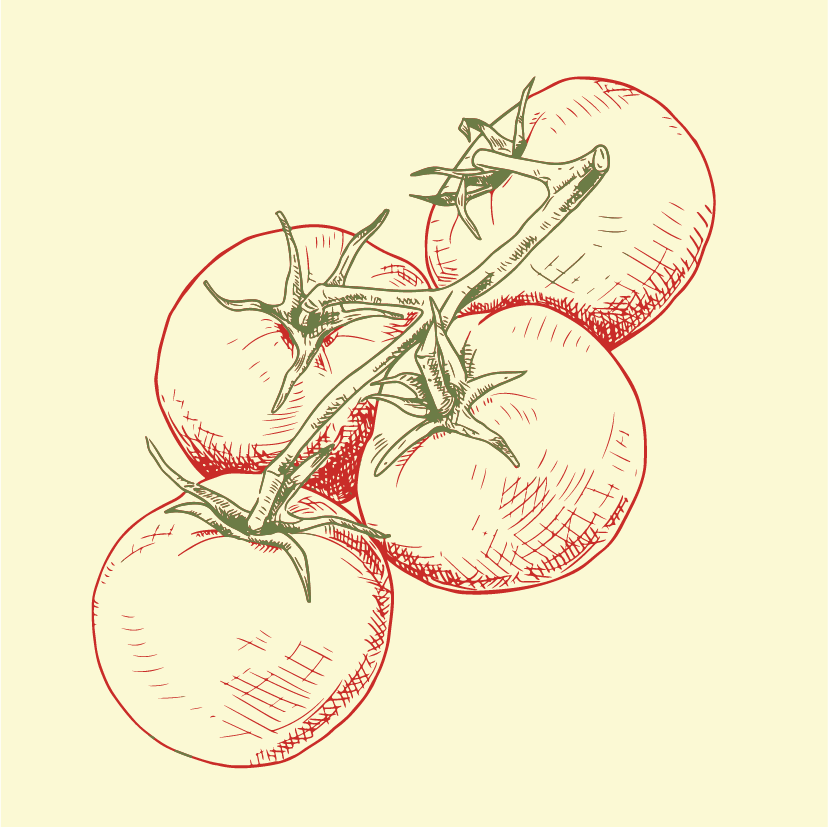 Passata Web.png