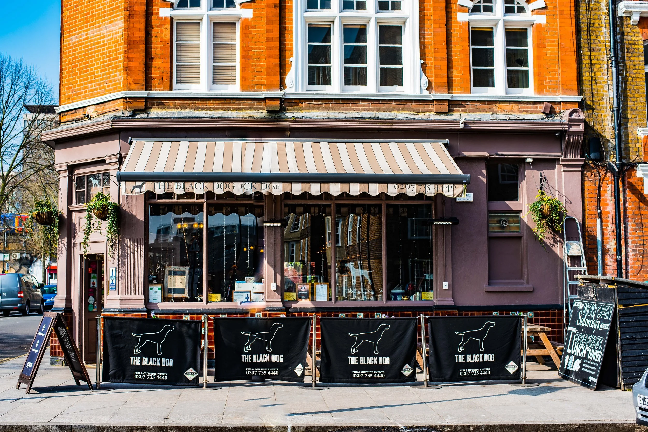 Photo of The Black Dog, Lambeth