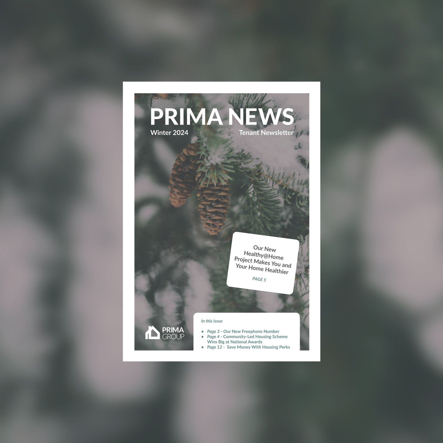 Our latest newsletter is available to view now. 📖

It includes updates on key projects, such as our award-winning community housing initiative and the new Healthy@Home project. You can also learn about our tenant satisfaction measures, cost-saving o
