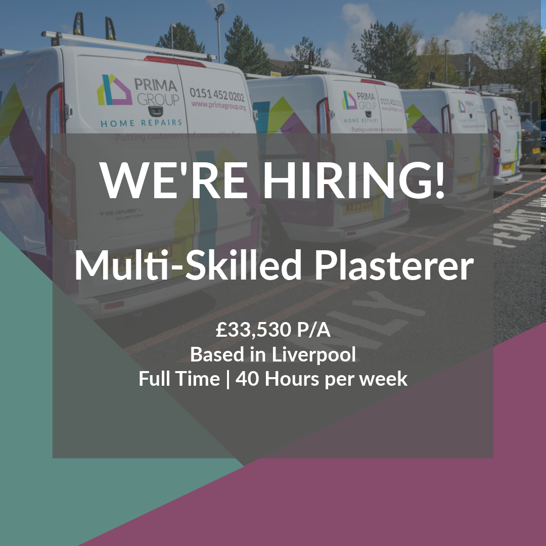 Multi-Skilled Plasterer