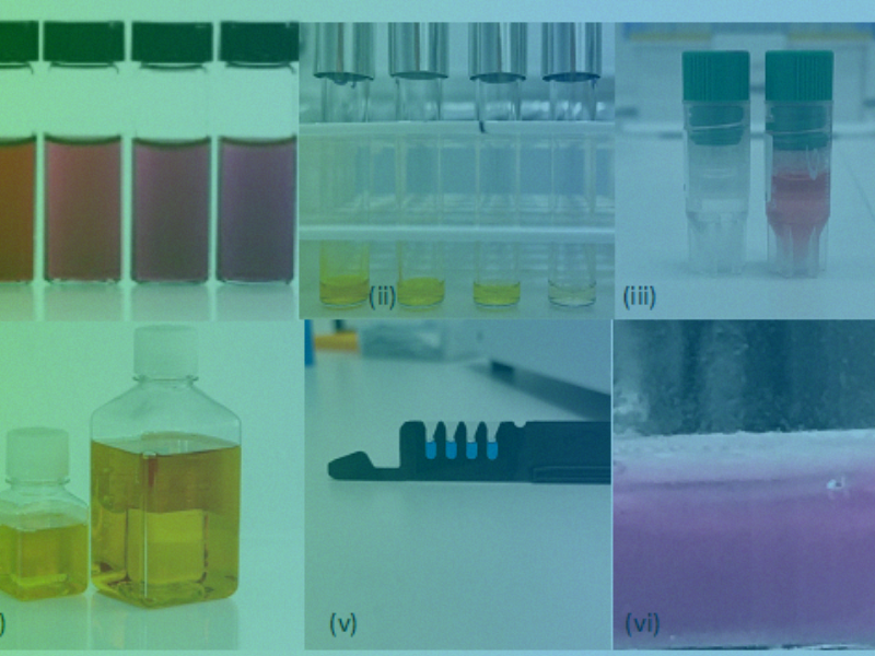 Samples that interfere with endotoxin assays: a modern dilemma